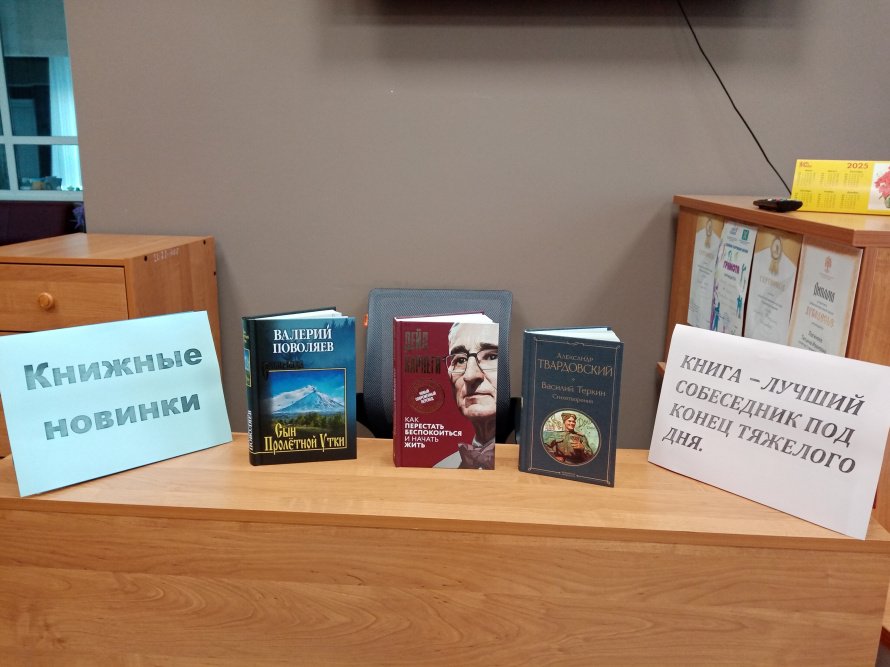 Обзор новых книжных поступлений. 